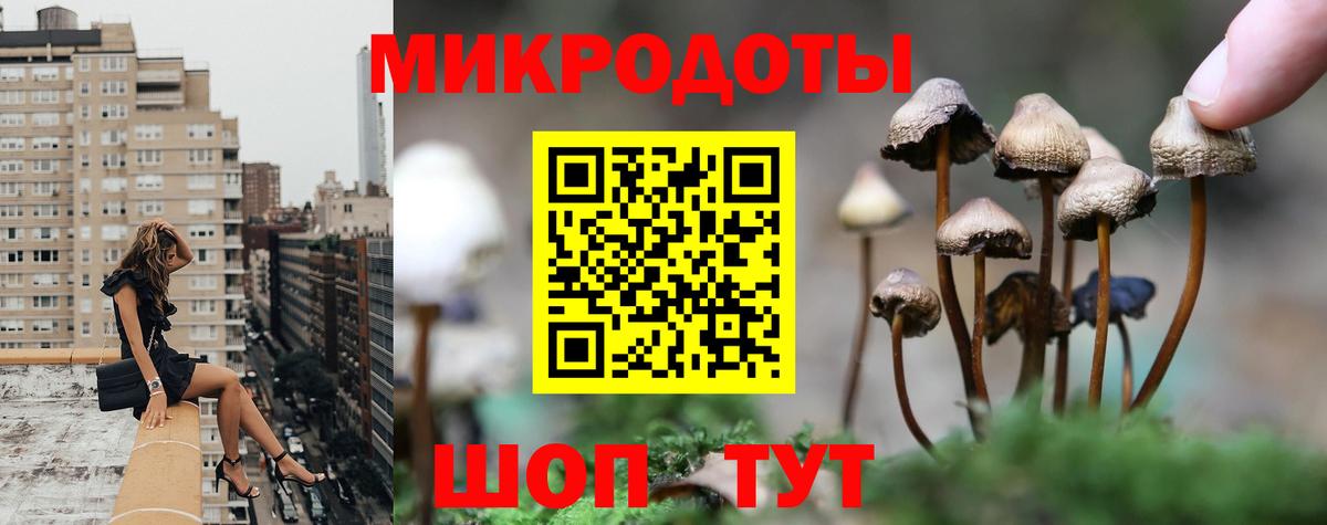 Псилоцибиновые грибы прущие грибы Муравленко